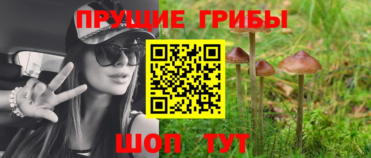 Щёлково  Галлюциногенные грибы прущие грибы  Вход с VPN  Псилоцибиновые грибы мицелий 